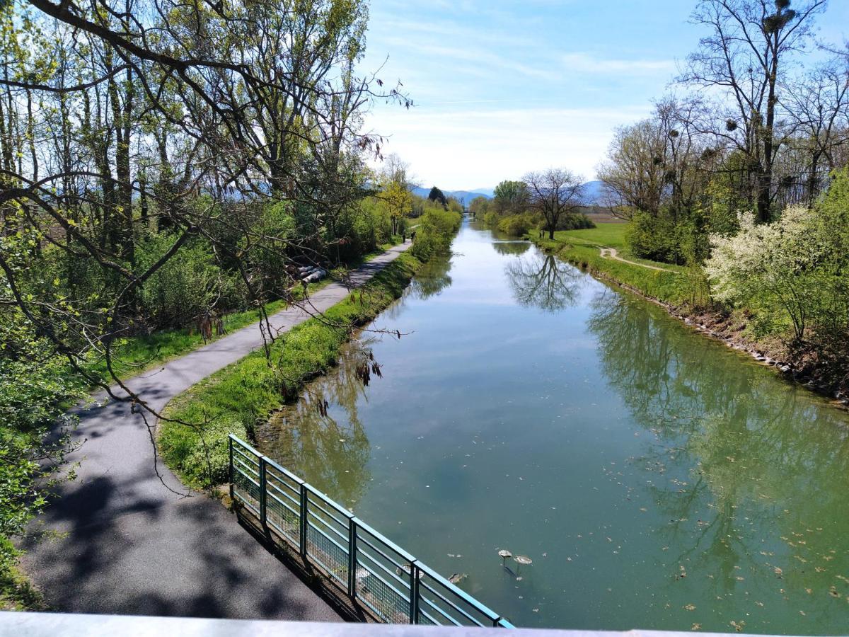 "Les Gites Cote Blind" Tout Confort Proche Colmar Bischwihr Exteriér fotografie