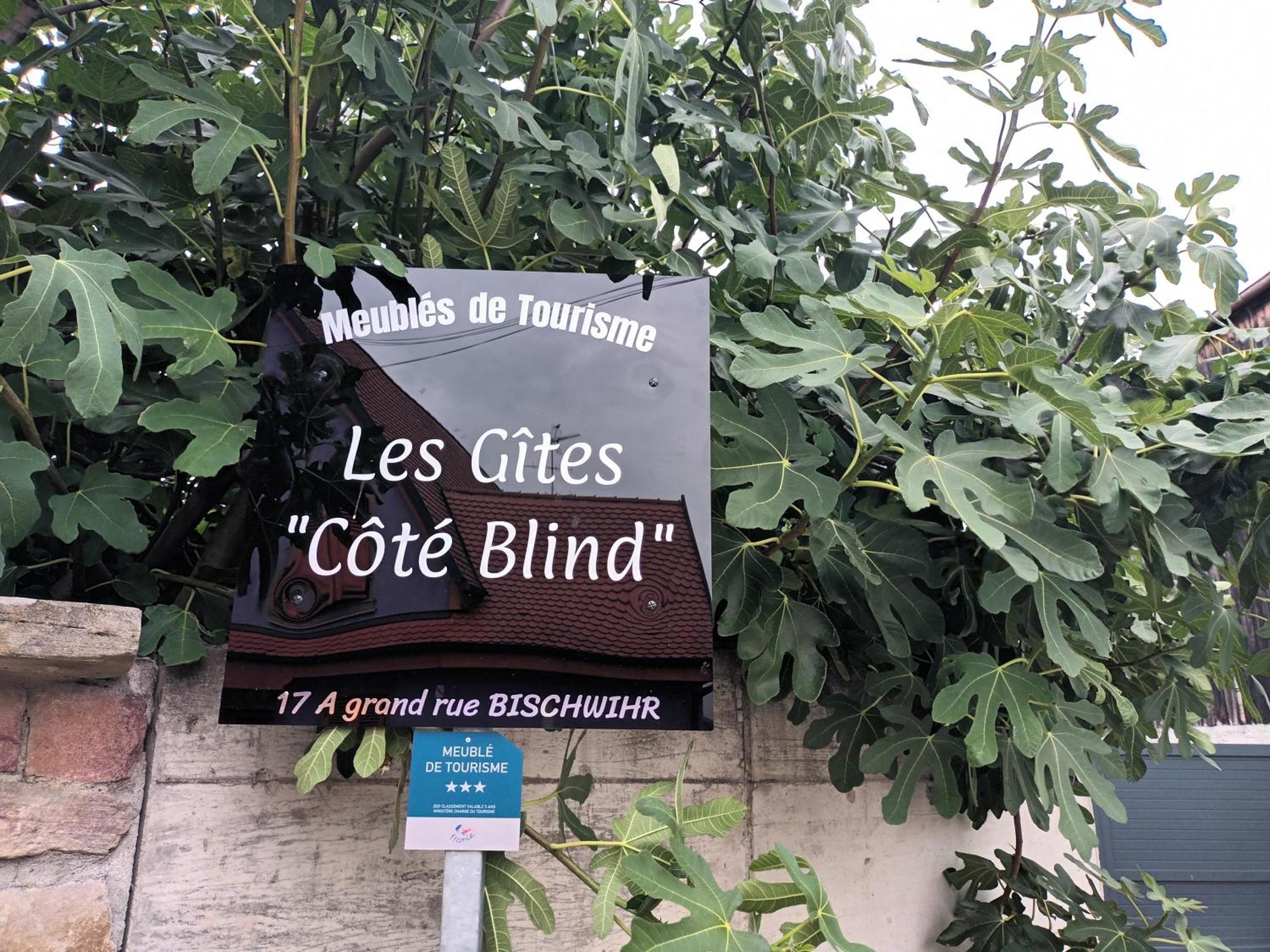 "Les Gites Cote Blind" Tout Confort Proche Colmar Bischwihr Exteriér fotografie